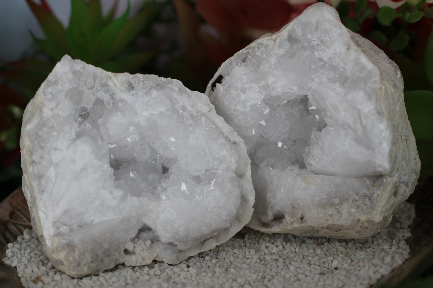 Quarz Geode (geöffnet)