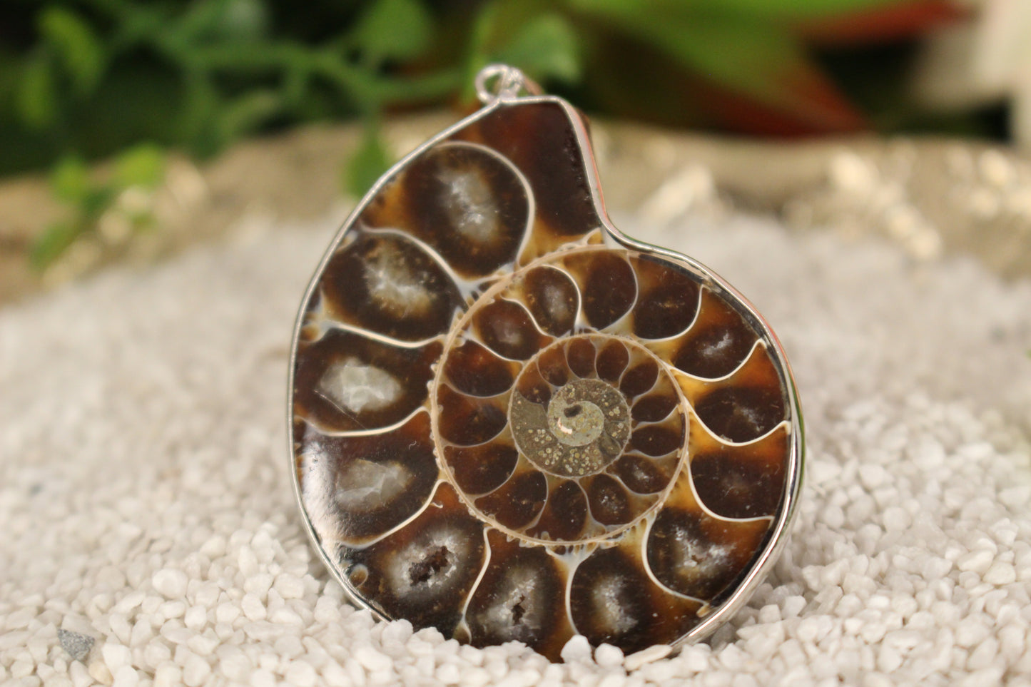 Ammonit Anhänger
