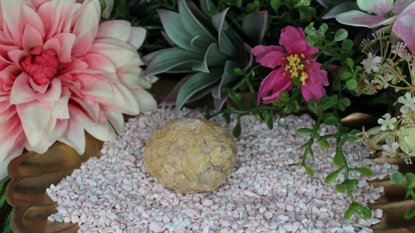 Quarz Geode (geöffnet)