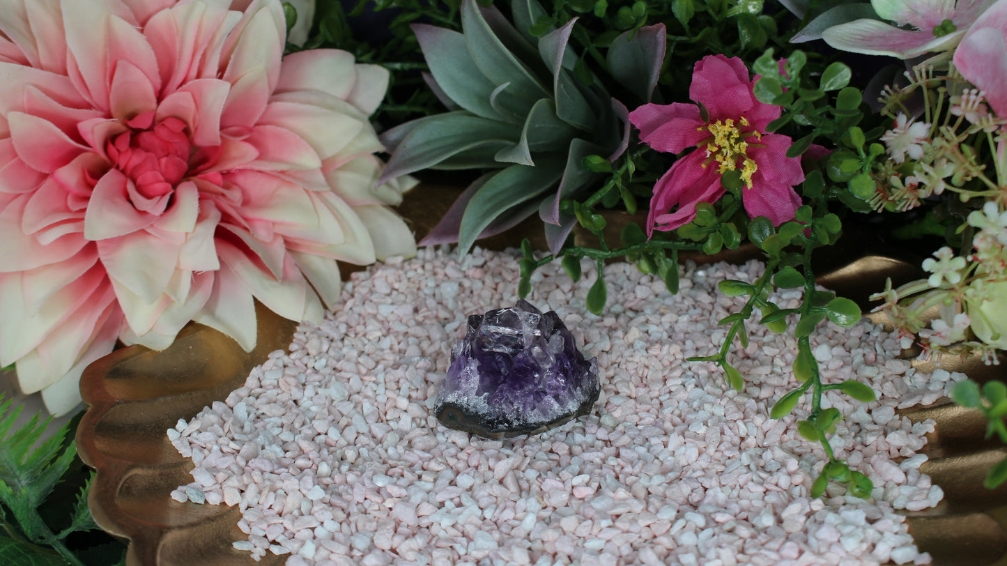 Amethyst Druse