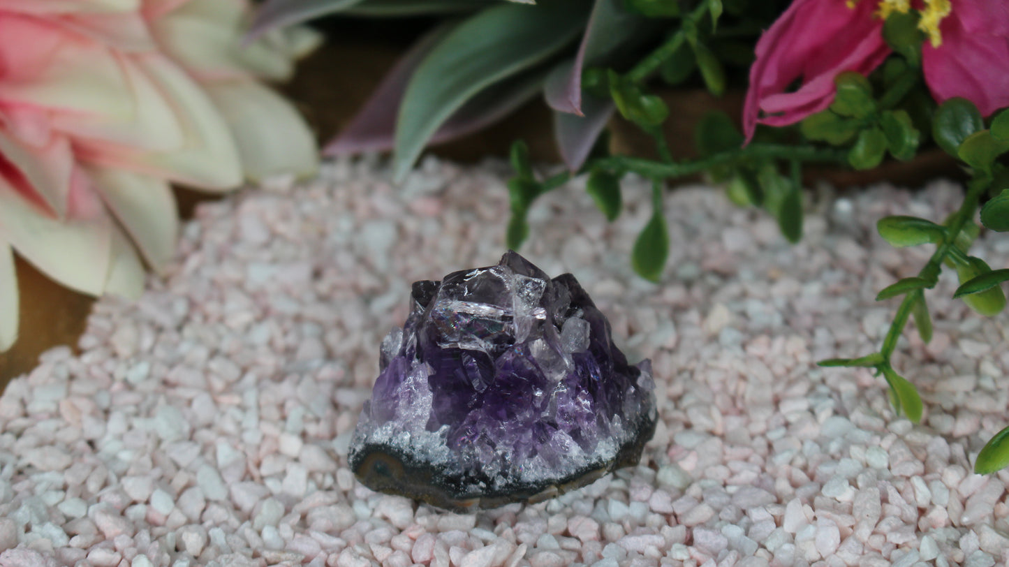 Amethyst Druse