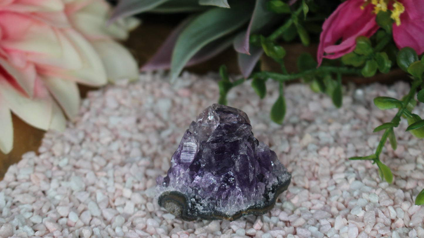 Amethyst Druse