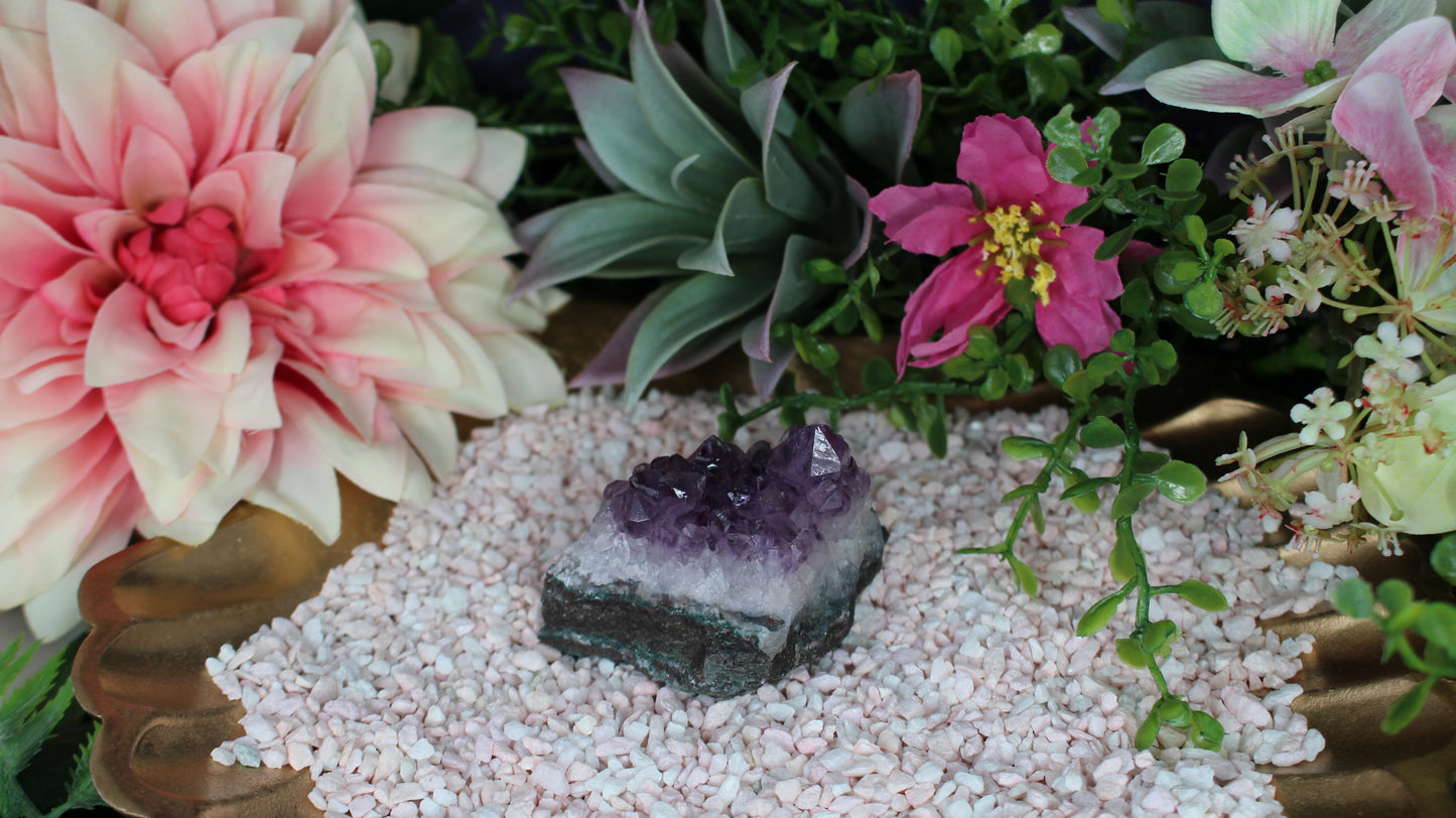 Amethyst Druse