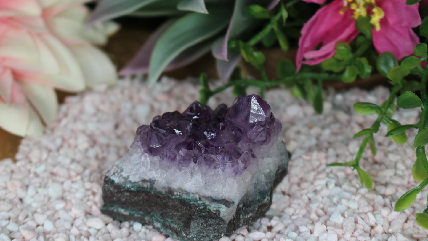 Amethyst Druse