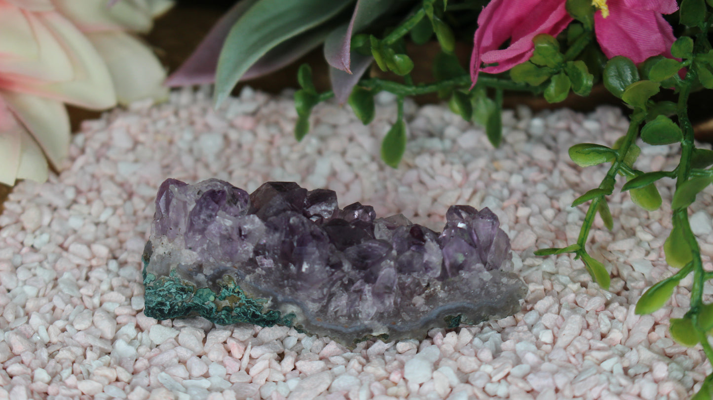 Amethyst Druse
