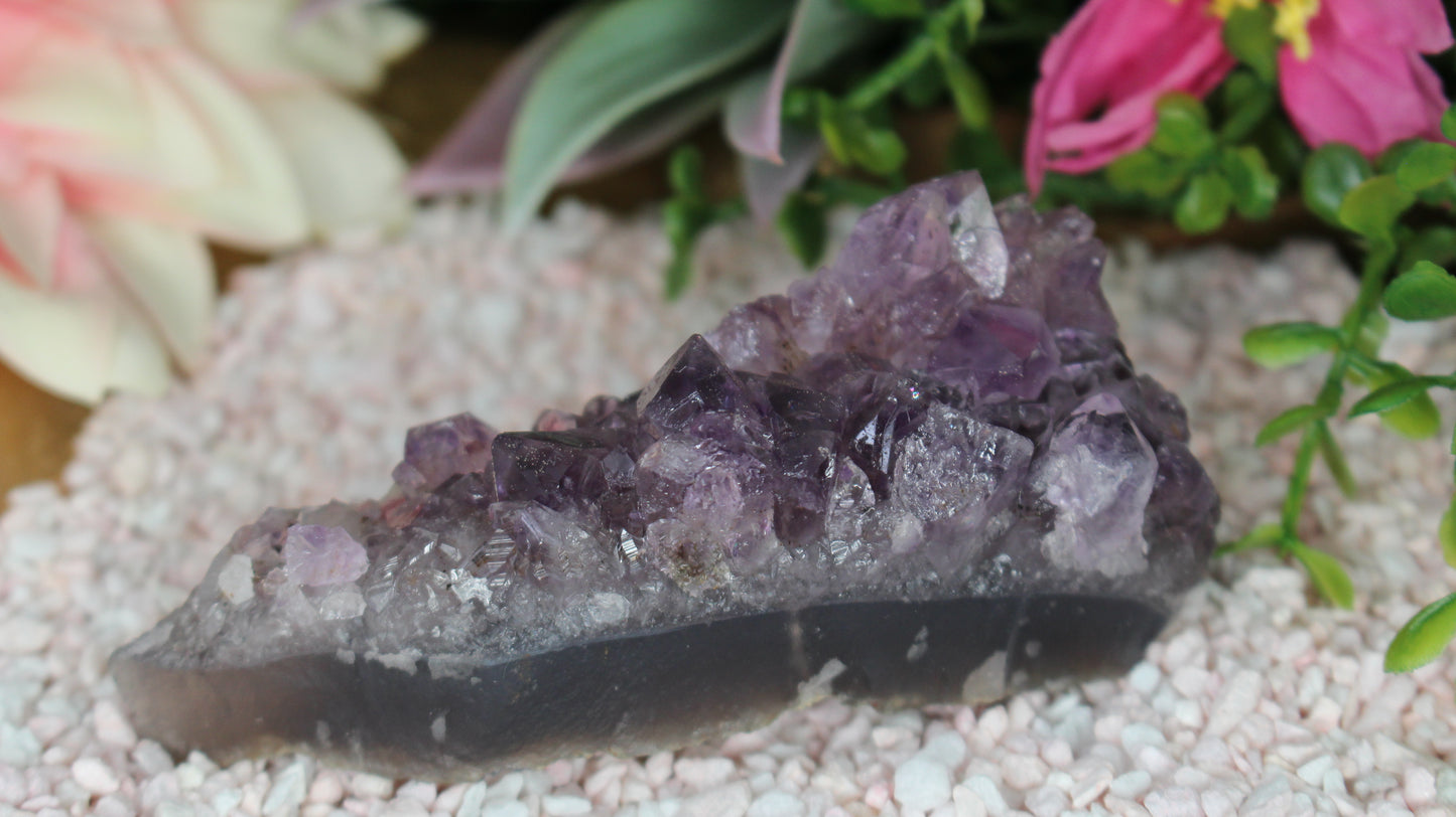 Amethyst Druse