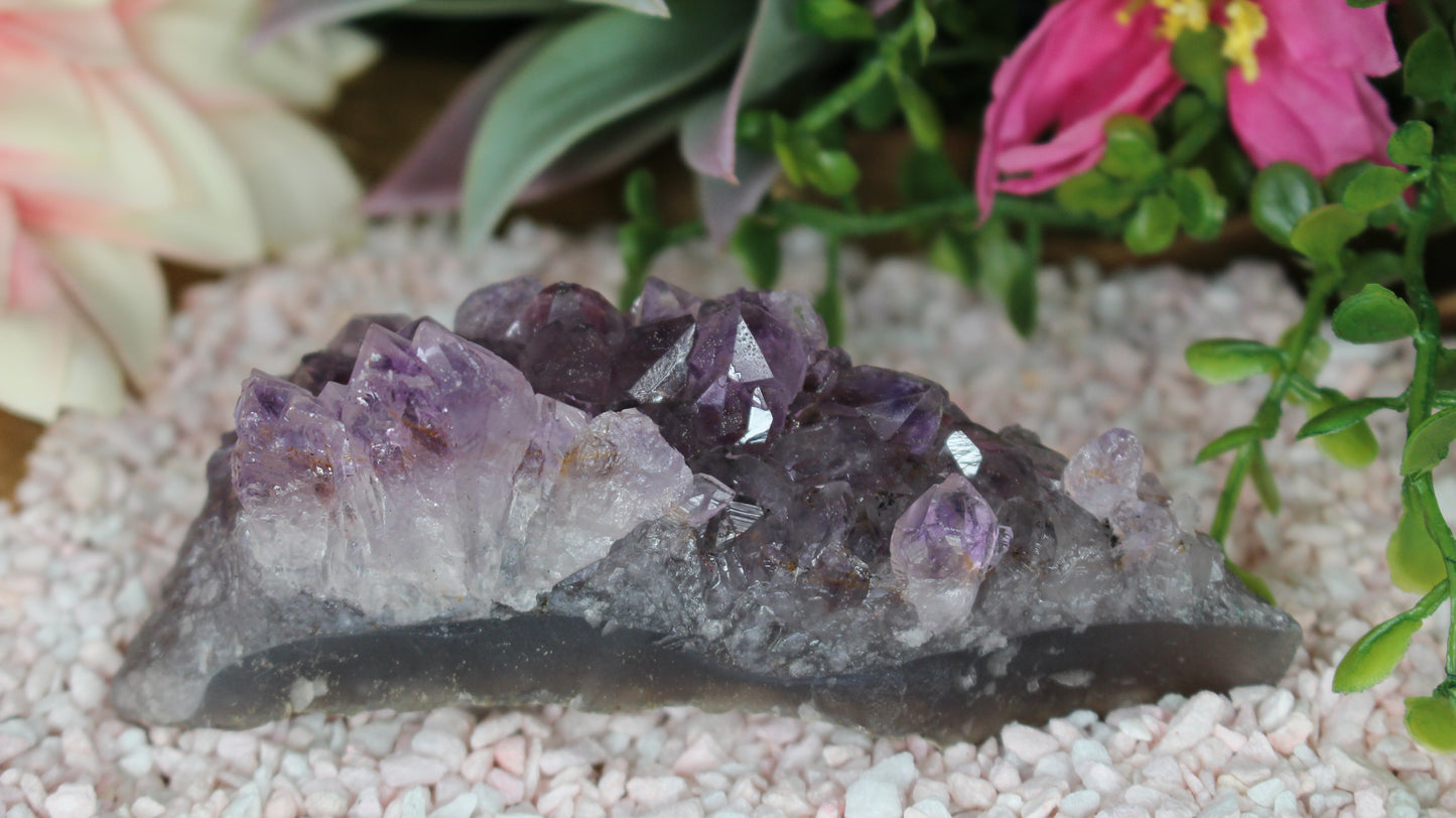 Amethyst Druse
