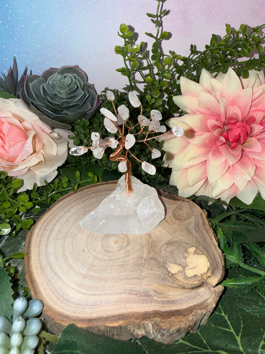 Bergkristall Bonsai
