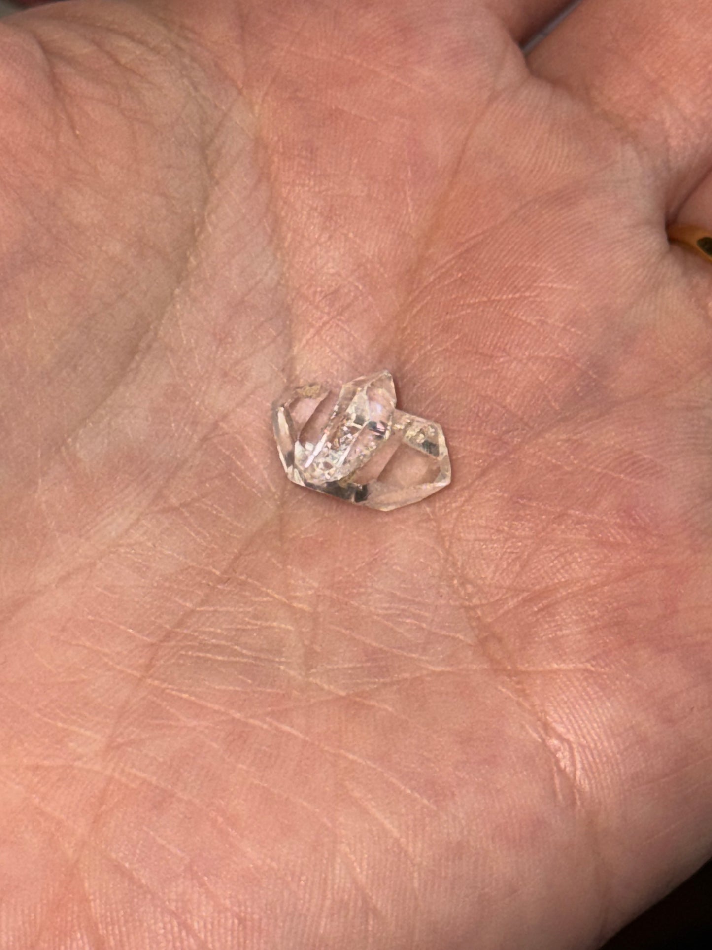 Herkimer Doppelender