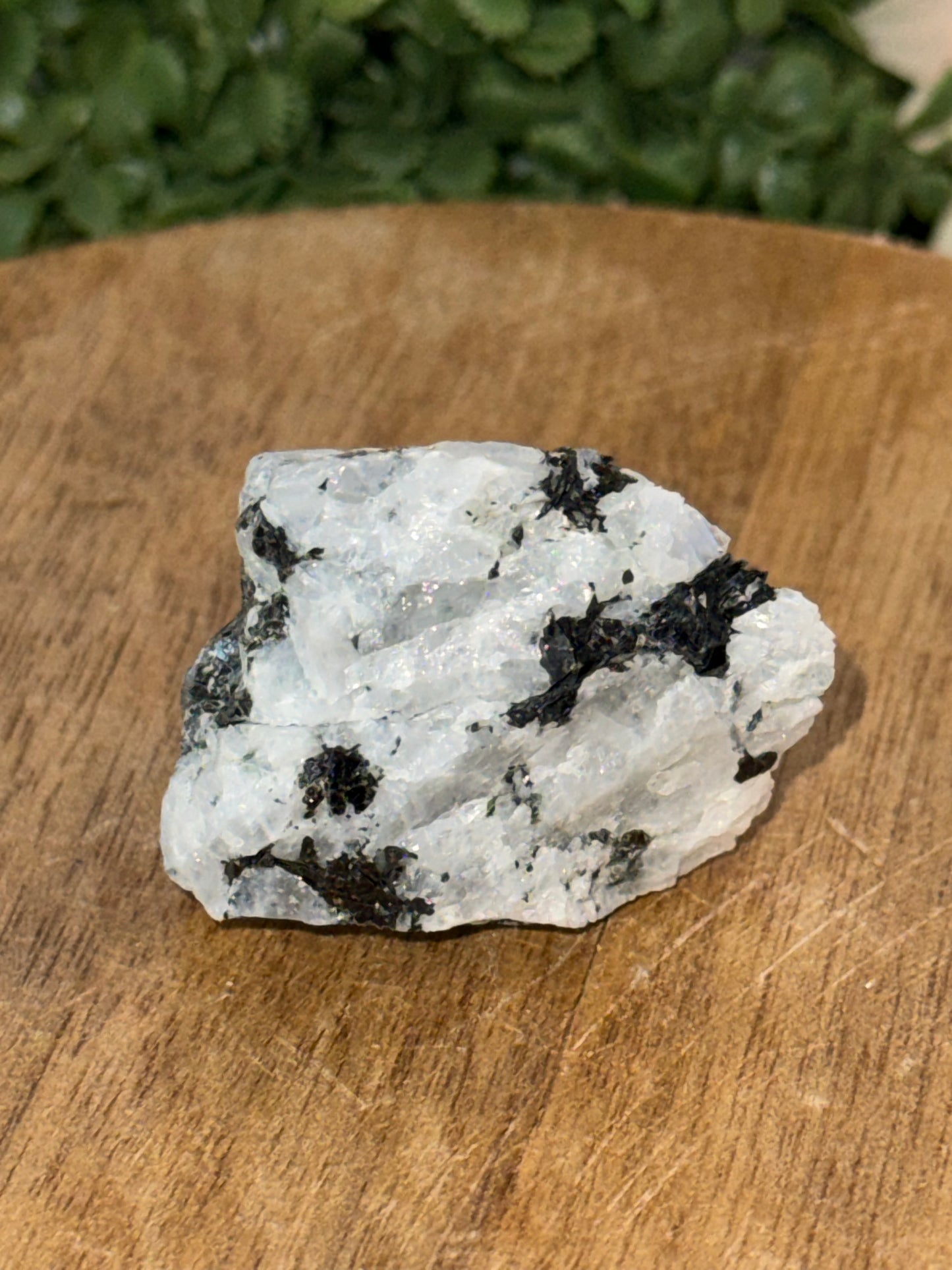 Mondsteine Roh