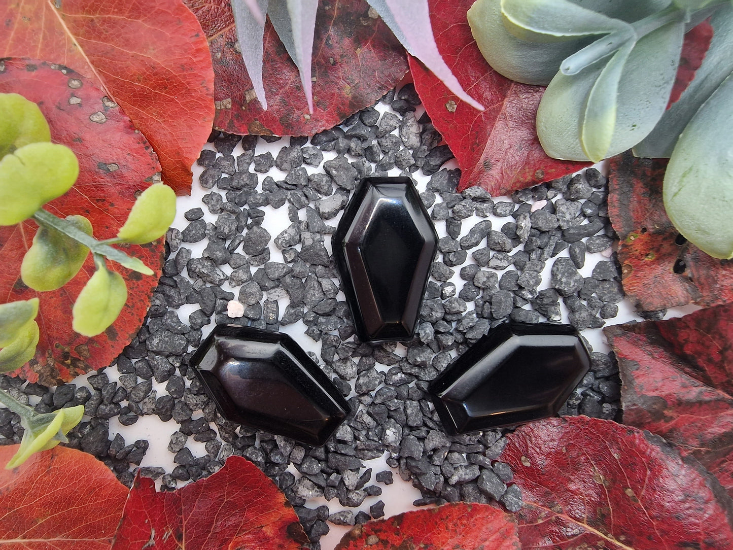 Obsidian Sarg