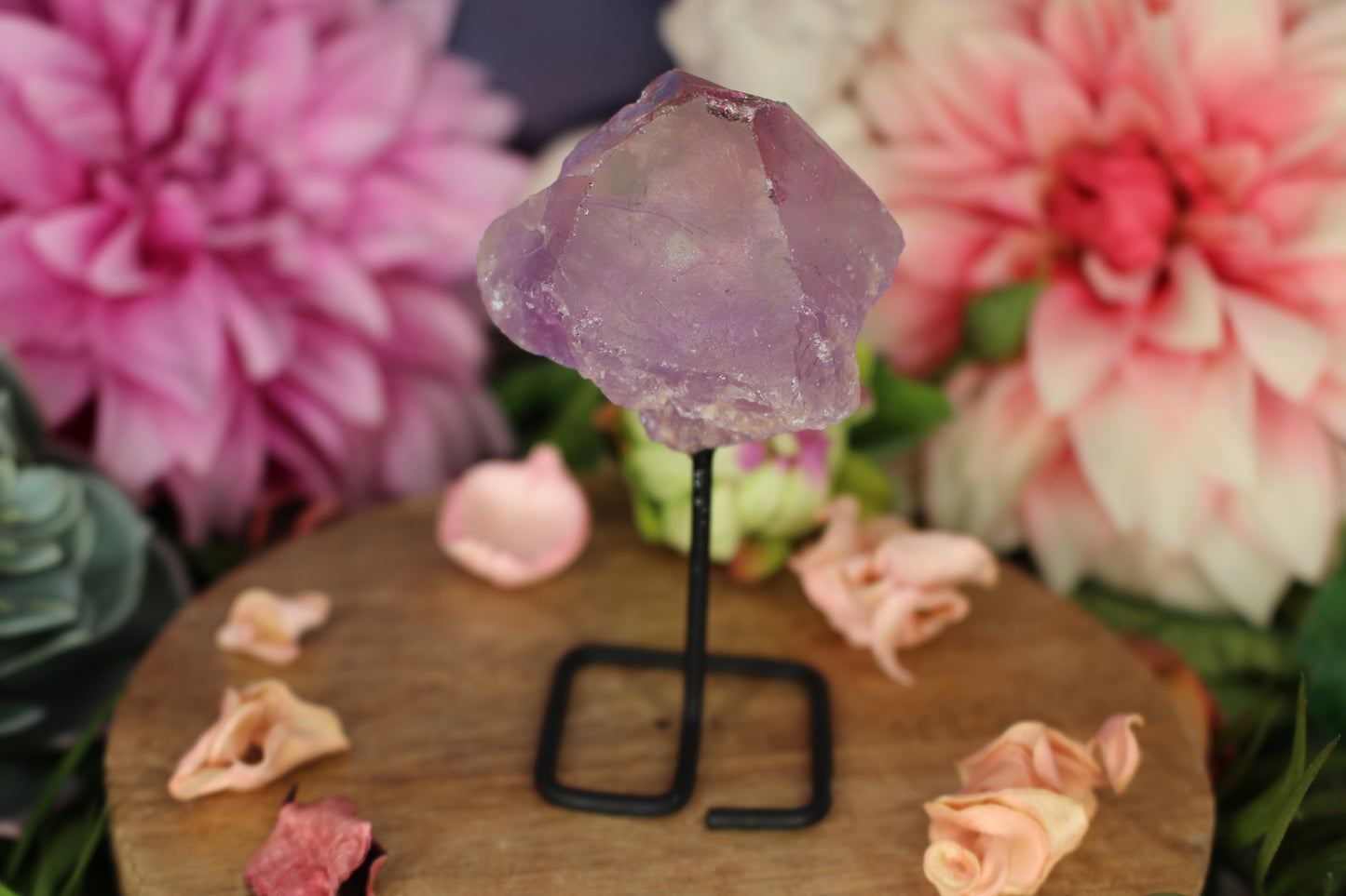Amethyst auf Metalltänder