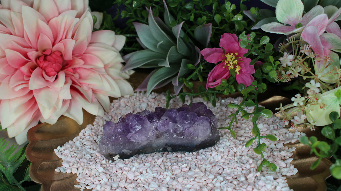 Amethyst Druse