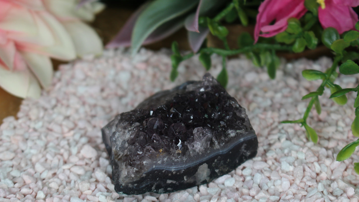 Amethyst Druse