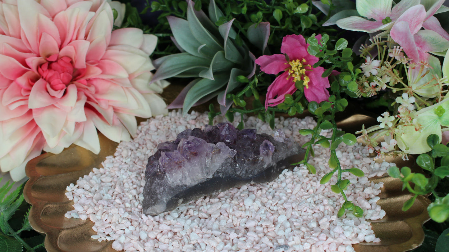 Amethyst Druse